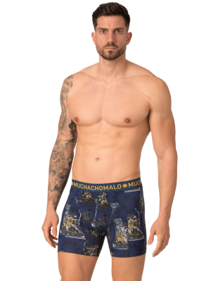 Men 2-pack shorts Print/blue