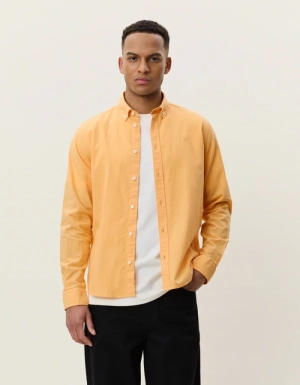  Apricot