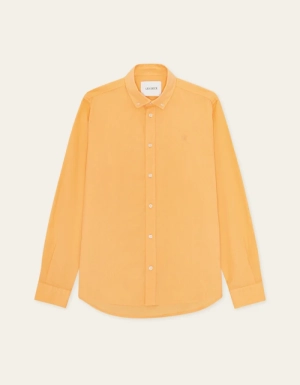 Apricot