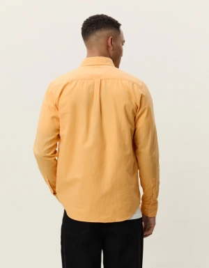  Apricot
