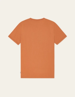 Core Raw Sienna