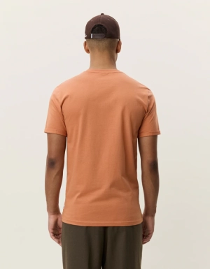 Core Raw Sienna