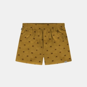 Beagle Yellow