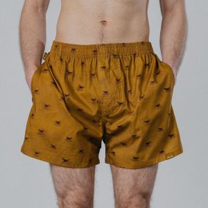 Beagle Yellow