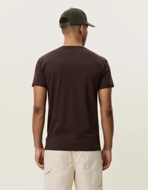 Core Molé Brown