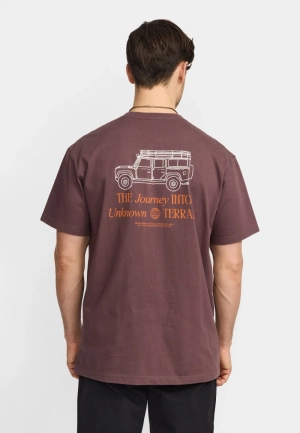 TER Dustpurple