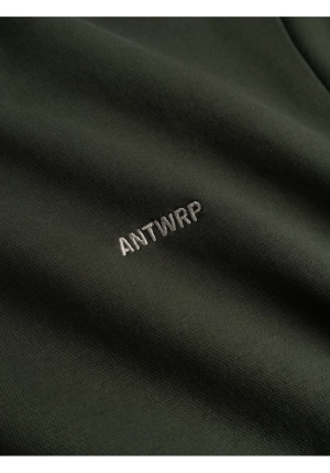  Evergreen