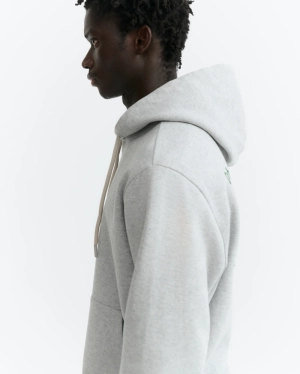 Pirineo Grey  