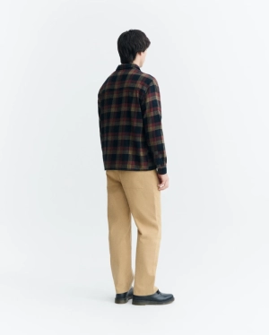 Albion Multicolor