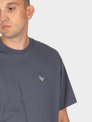 Pigeon Dark Steel