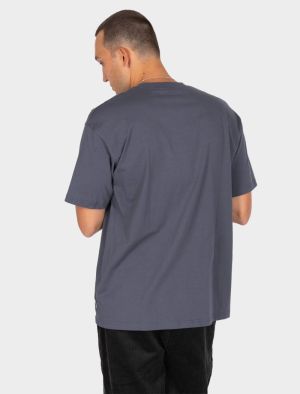 Pigeon Dark Steel