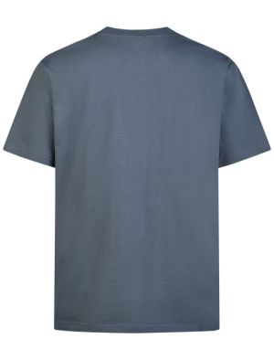 Pigeon Dark Steel